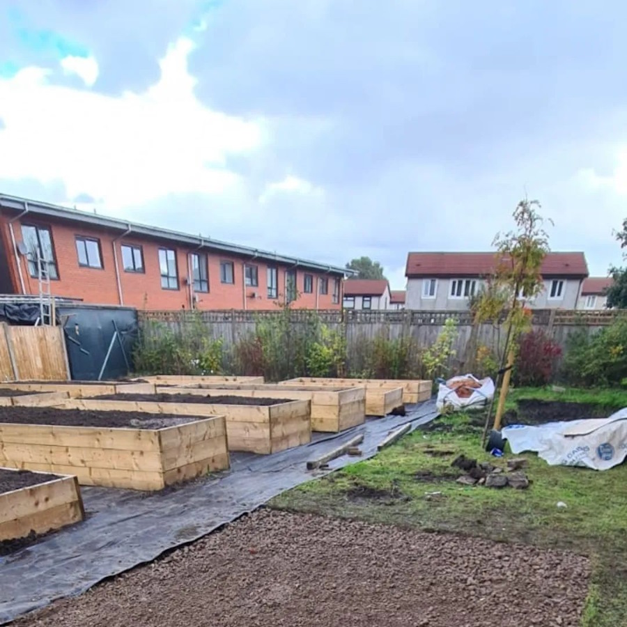 click to see larger image autumn fruits and flowers in the community garden