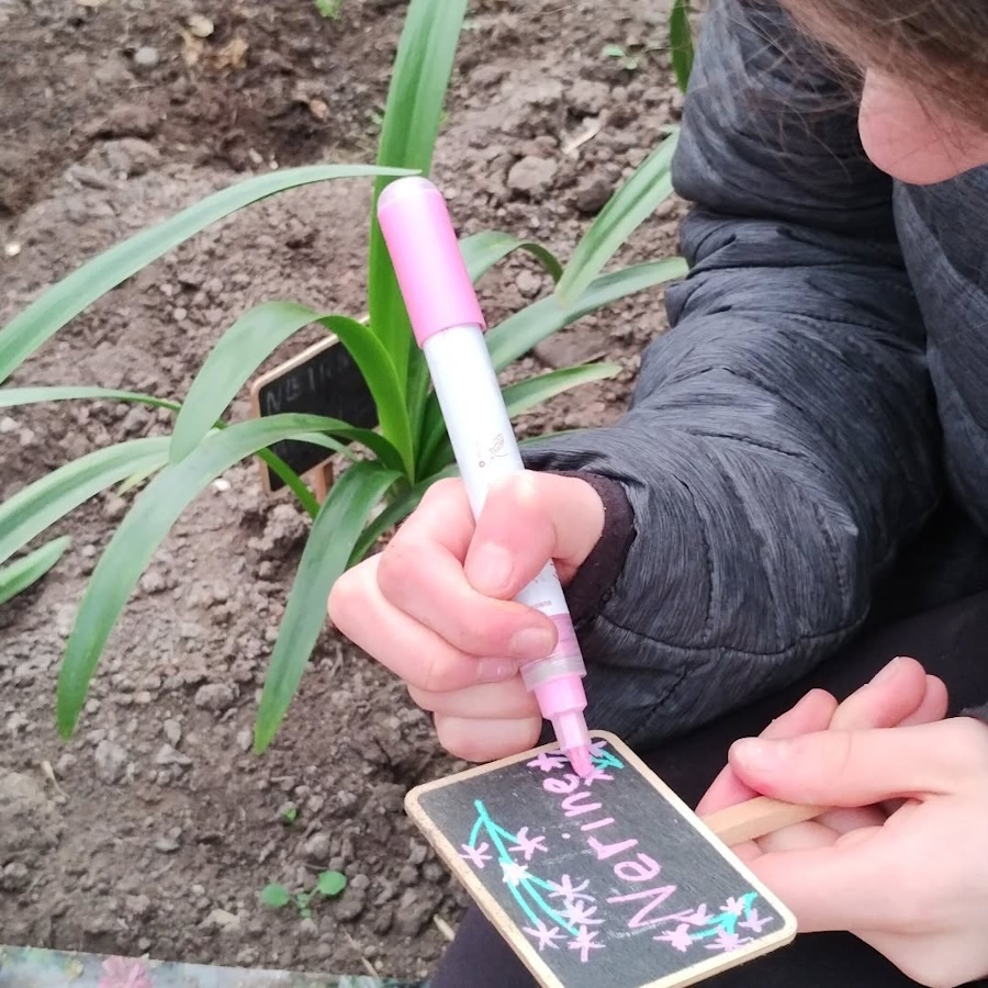 cleared out the polytunnel