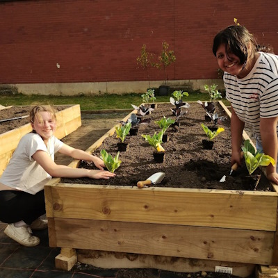 many hands make light work in the community garden