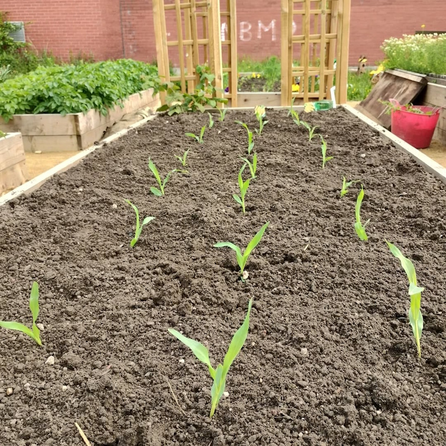 more soil delivered in the newbold community growing together community garden