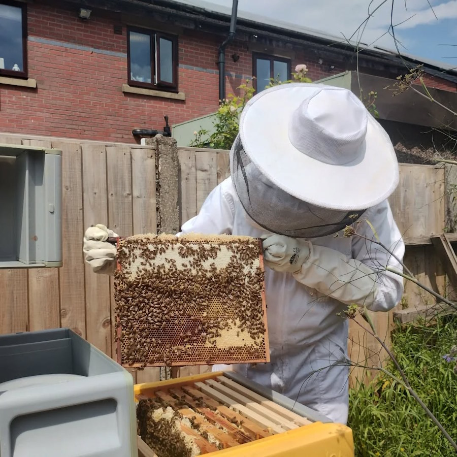 our bees in the newbold community growing together community garden