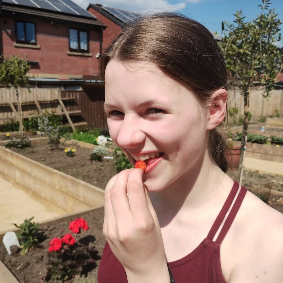 the sun continues to shine in the newbold community growing together community garden