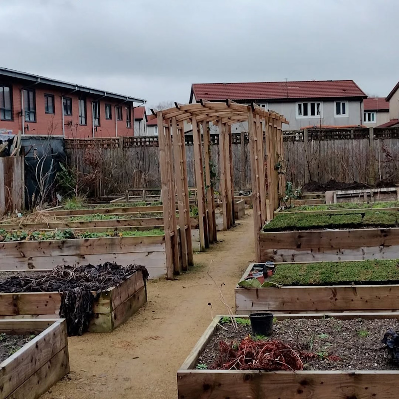 click to see larger image weeding up and topping up raised beds